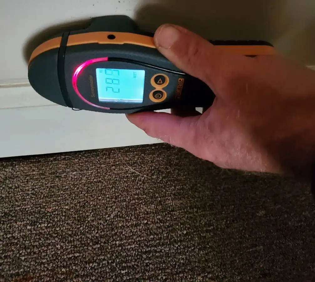 Moisture detection at baseboard during Mold Inspection & Testing in Levelland